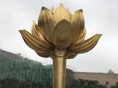-金莲花广场