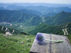 -白草畔自然风景区