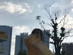 -巨鹏飞梦幻海岸