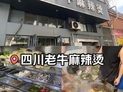 -四川老牛麻辣烫(北门桥店)