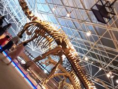 -世界恐龙谷景区