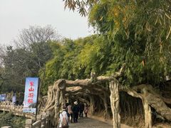 -李宗仁官邸