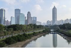-万绿园