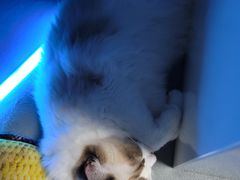 -零纪元VR体验馆·桌游(黄浦店)