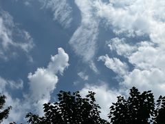 -龙猫仔乐园(惠福东路店)