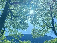 -上海海事大学(临港校区)