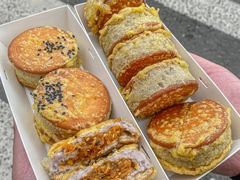 -海丝金凤(金鱼店)