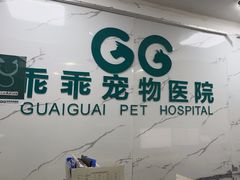 -乖乖宠物医院·猫科·骨科·24小时(云岗分院)