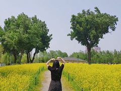 -长白岛森林公园