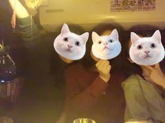 -民谣未来吧