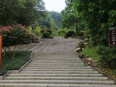 -火炉山森林公园
