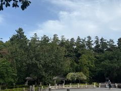 -鼎湖山风景区