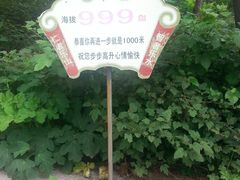 -鲁山国家森林公园