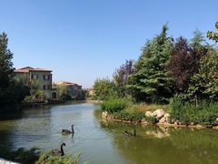 -芭东小镇温泉