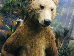 -国家自然博物馆