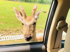 -南京金牛湖风景区