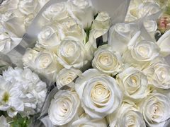 -双季花艺园艺市场(浦东店)