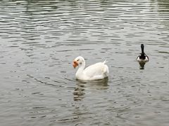 -太阳宫公园