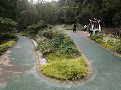 -缙云山景区