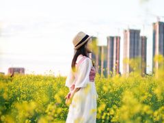 -光明小镇欢乐田园