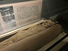 -巴音郭楞蒙古自治州博物馆