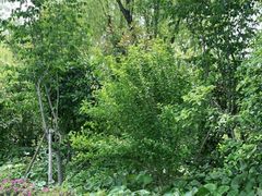 -昆山城市生态森林公园