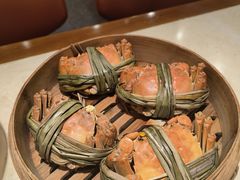 -杨氏青龙虾·羊蝎子(珠江路店)