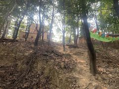 -火炉山森林公园