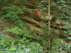 -镇江市南山风景名胜区竹林景区