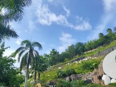 -100蛋泥浆浴