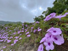 -东山湖温泉度假村