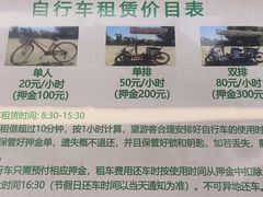 -上海海湾国家森林公园