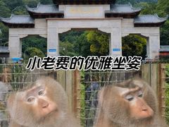 -黔灵山公园