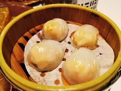 -顺峰(农展馆店)