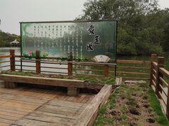 -大湾区中央湿地公园