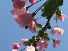 -白塘生态植物园