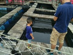 -海上驿站渔家菜馆