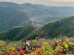 -大围山国家森林公园