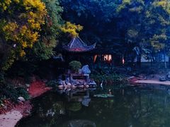 -深圳国际园林花卉博览园