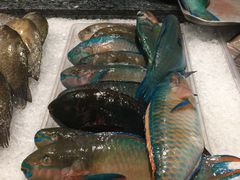 -Isla Sugbu Seafood City