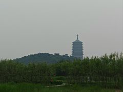 -永定河休闲森林公园