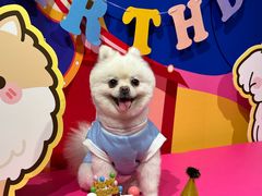 -百好乐宠物友好餐厅(朝外大街店)