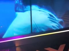 -温莎KTV(珠江路店)