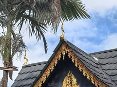 -西双版纳傣族园