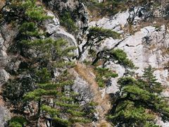 -明堂山风景区