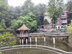 -铁山坪森林公园