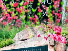-桃花涧
