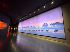 -罗红摄影艺术馆