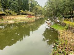 -映月湖公园