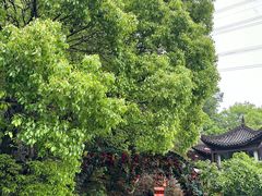 -巴倒烫陆派火锅山庄(南山总店)